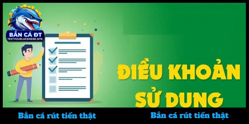 Cách để kiểm tra điều khoản sử dụng của 1 nền tảng